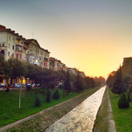 New Lovely Full Of Light Ap In Tirana Exterior foto